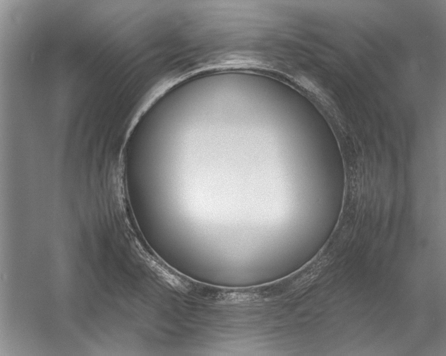 X0000055061374200508161634.png