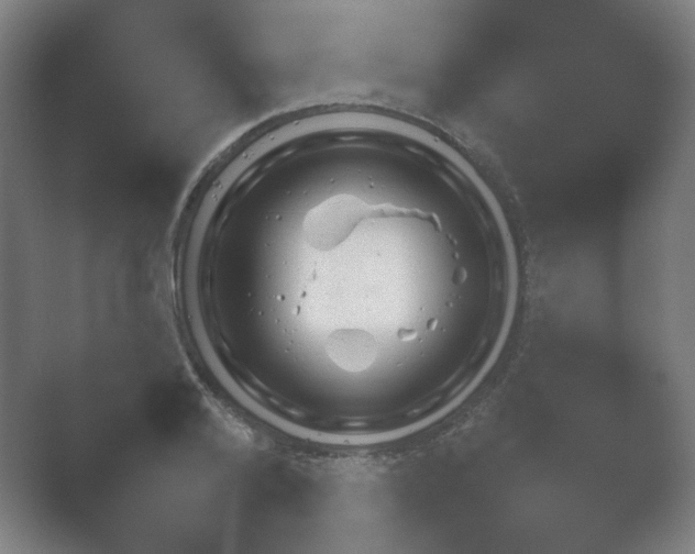 X0000054970792200509051503.png
