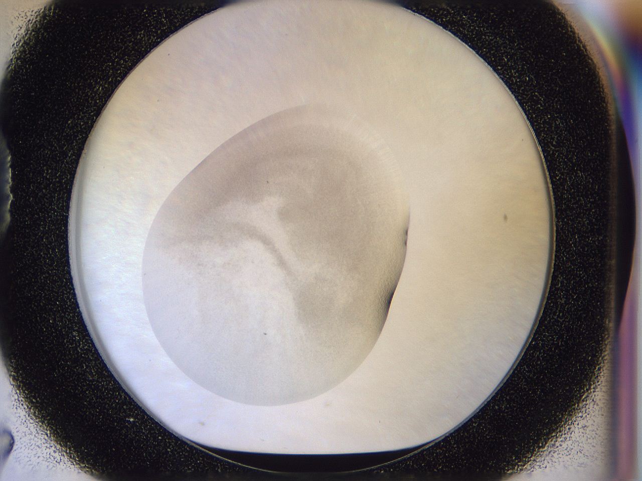056n_D7_ImagerDefaults_2.jpg