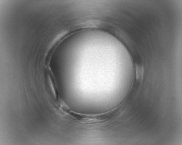 X0000054330675200508111920.png