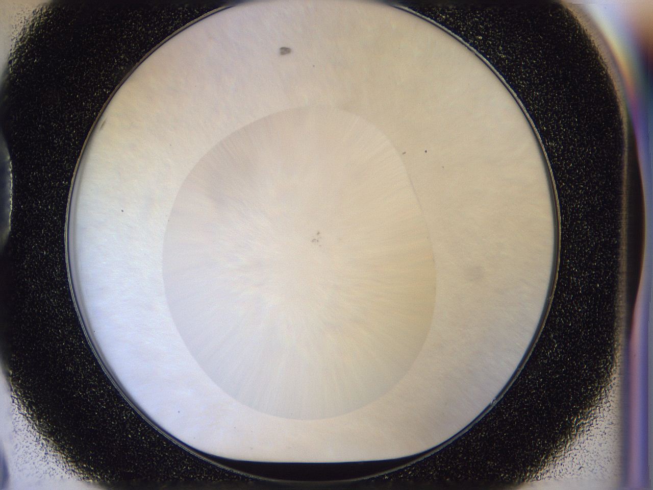 056n_D8_ImagerDefaults_0.jpg