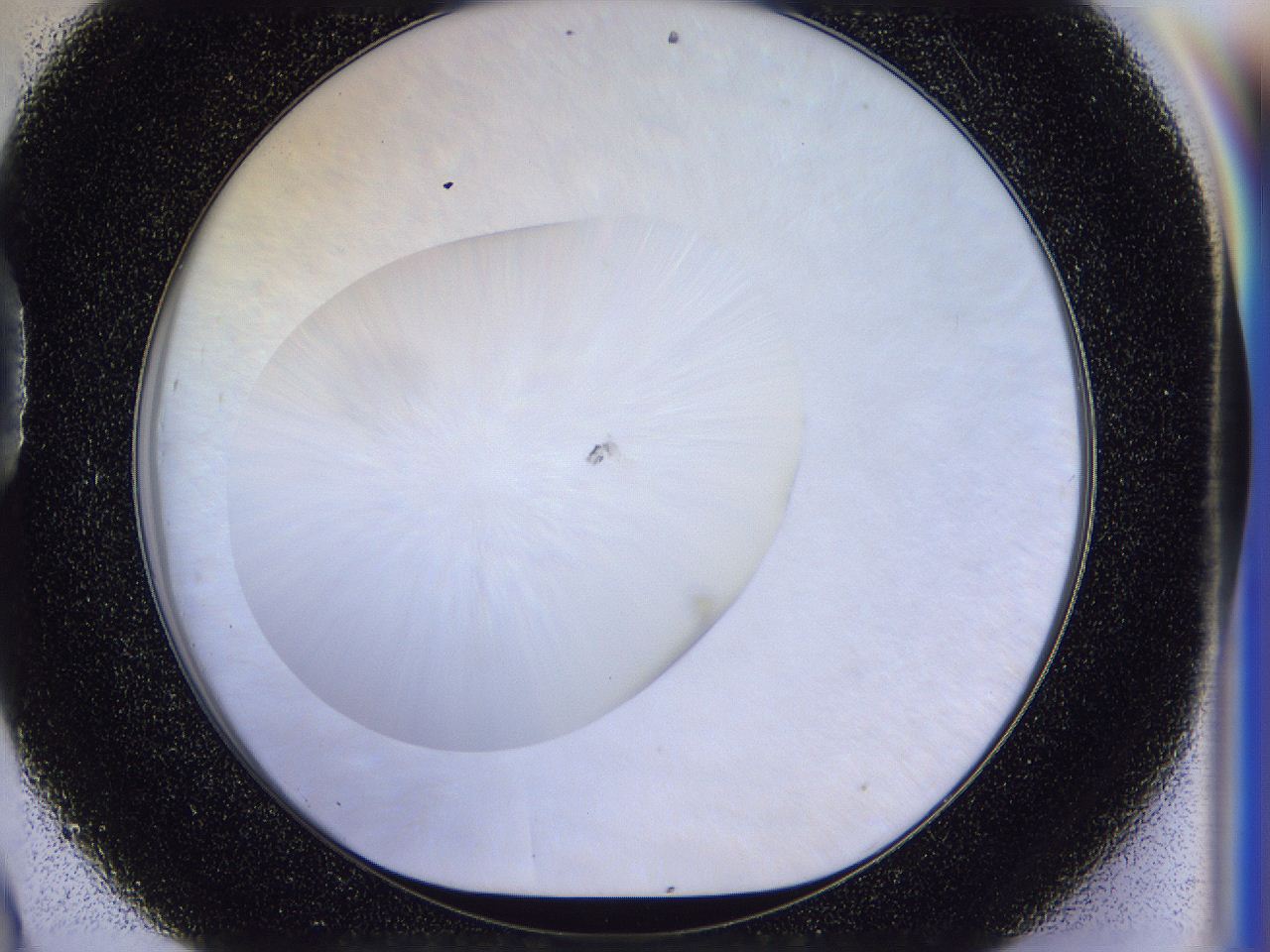 056n_D9_ImagerDefaults_0.jpg
