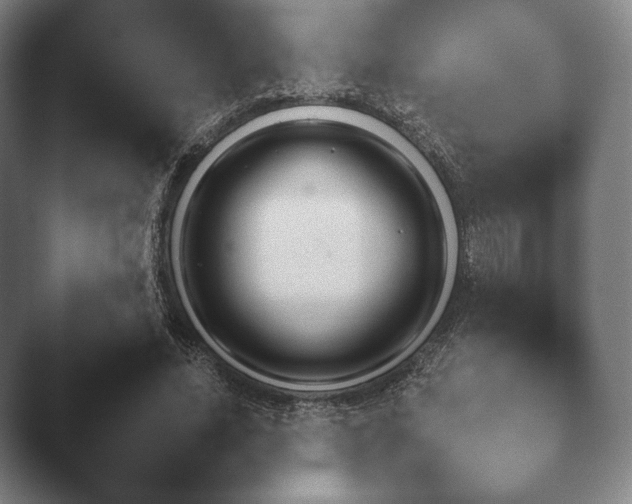 X0000045450636200502011657.png