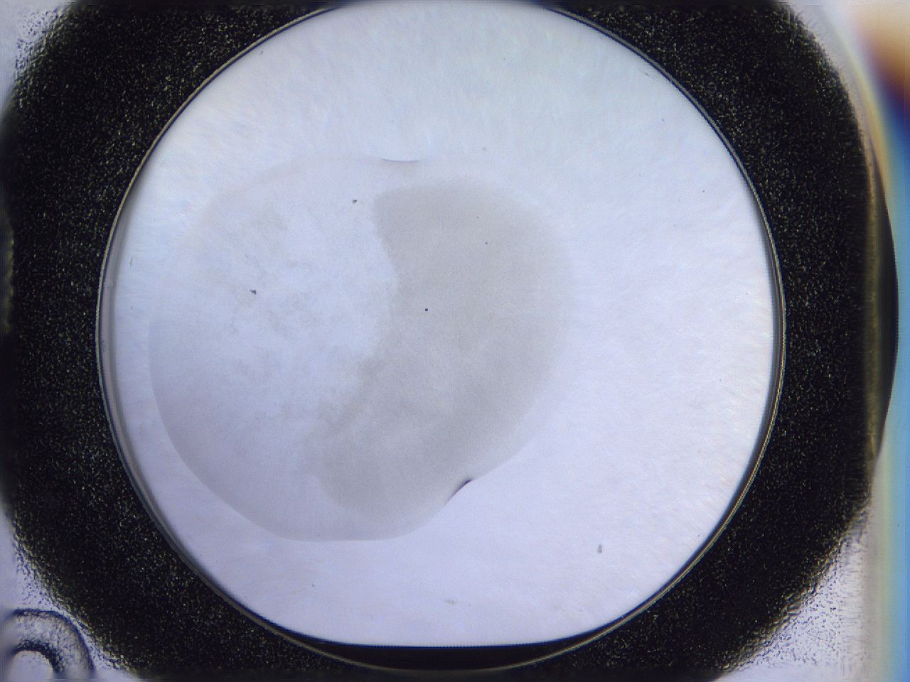 056n_D10_ImagerDefaults_2.jpg