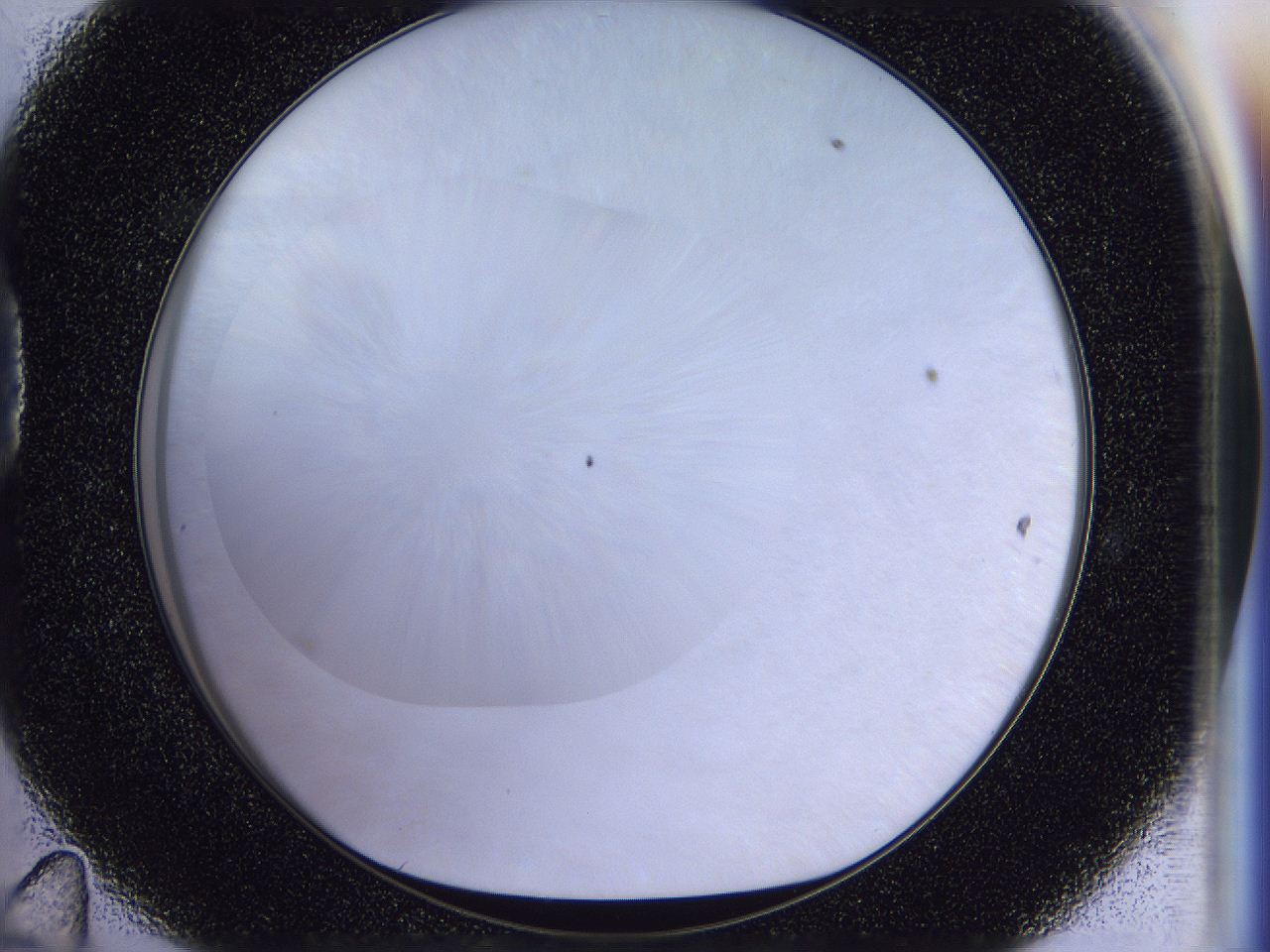 056n_D11_ImagerDefaults_0.jpg