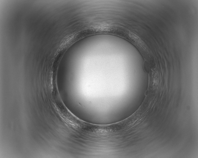 X0000055060494200508161649.png