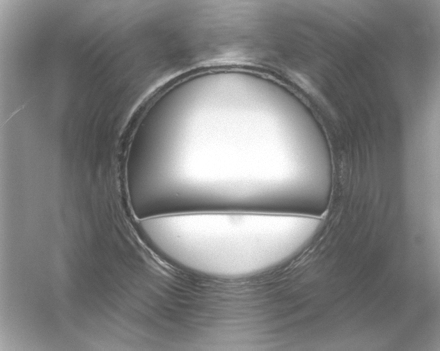 X0000054301356200508042259.png