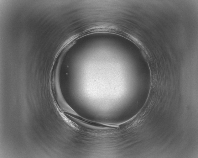 X0000055061042200508161640.png