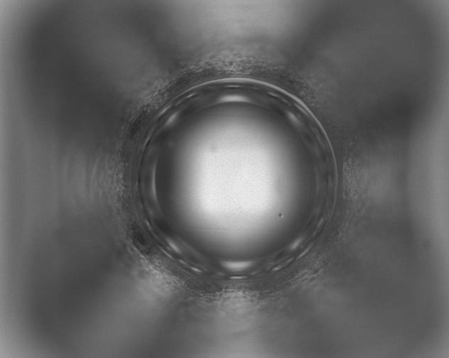 X0000051110404200507141802.png