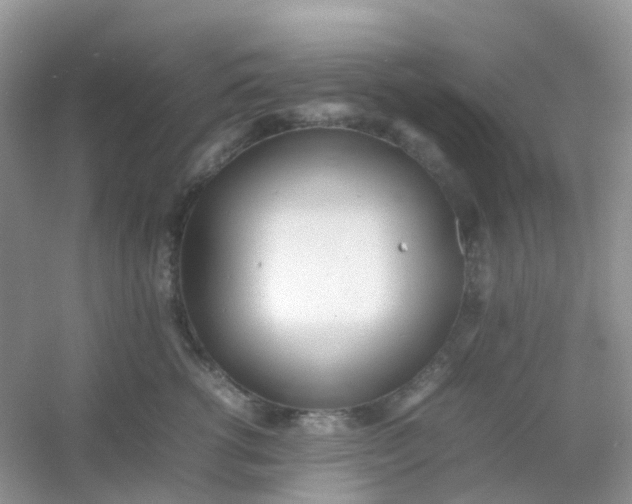 X0000054330762200508111919.png