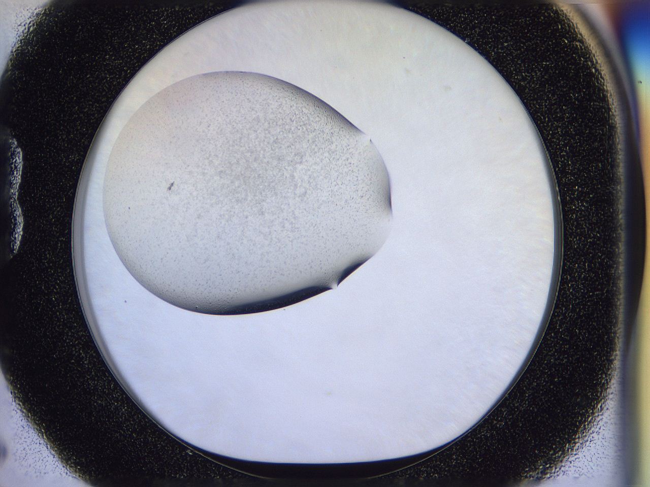 056n_B5_ImagerDefaults_2.jpg