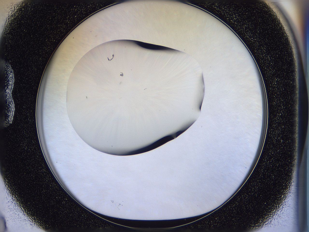 056n_B3_ImagerDefaults_1.jpg