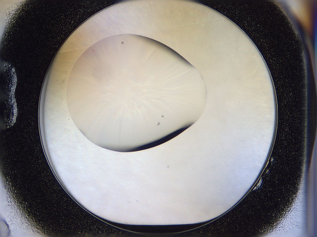 056n_B2_ImagerDefaults_0.jpg