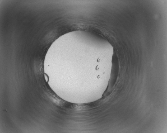 X0000055210336200508301328.png