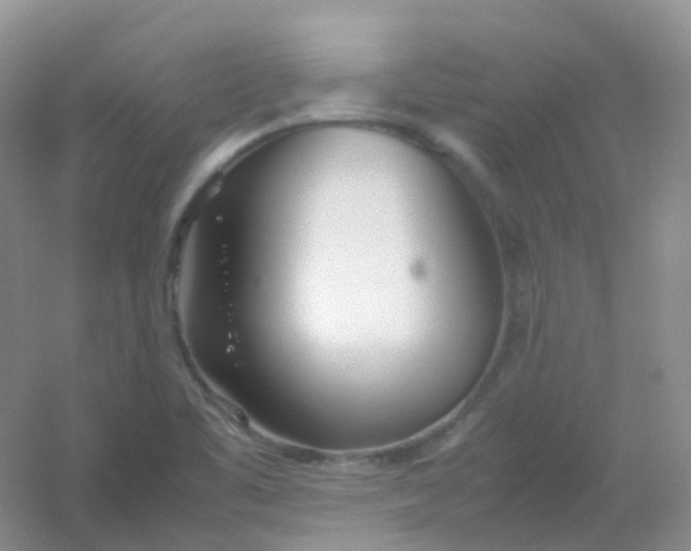 X0000054331461200508111906.png