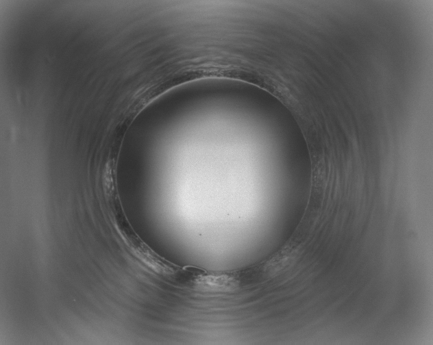 X0000055210137200508301331.png