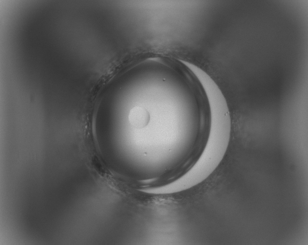 X0000054930752200508291631.png