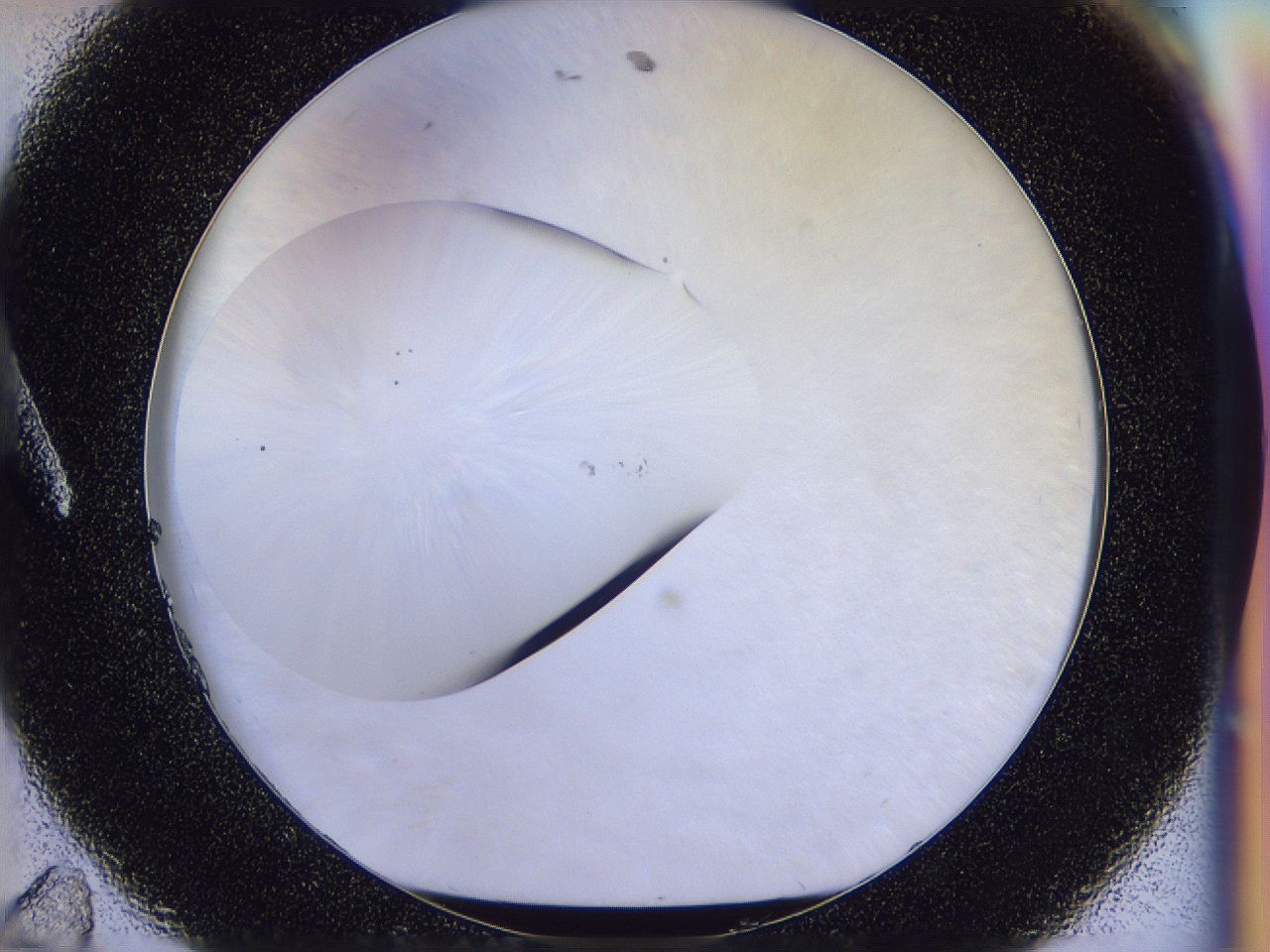 056n_A11_ImagerDefaults_0.jpg