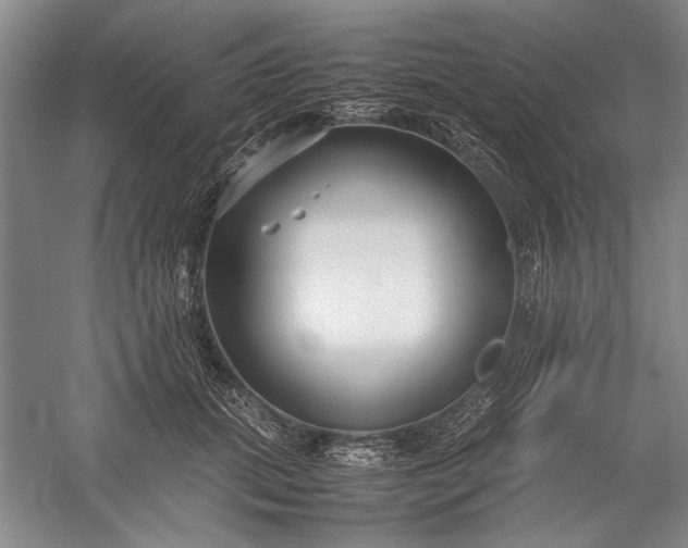 X0000055060655200508161647.png