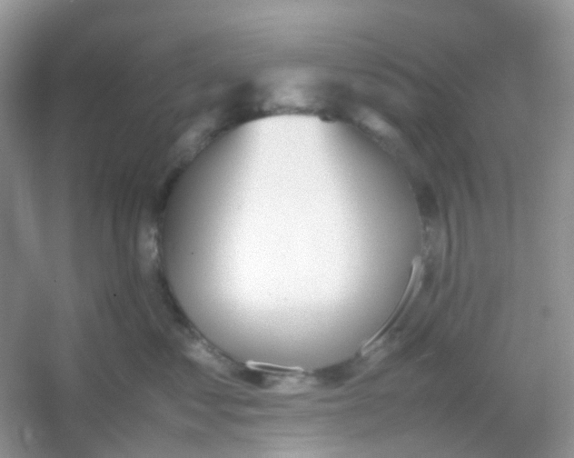 X0000054330621200508111921.png