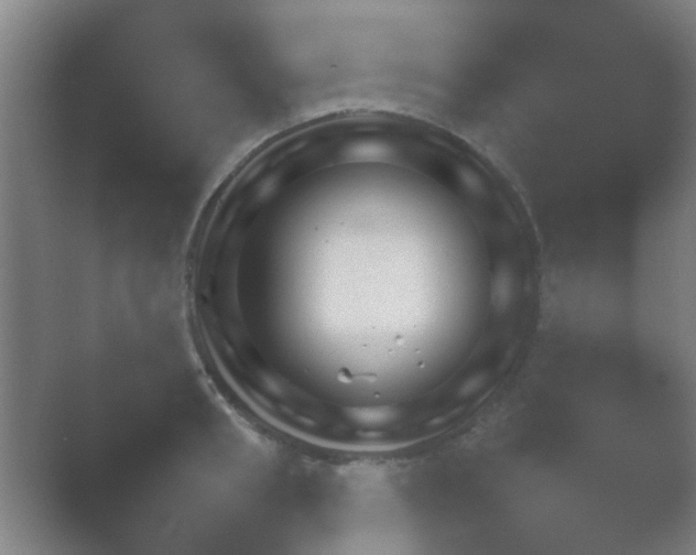X0000054110898200508022056.png