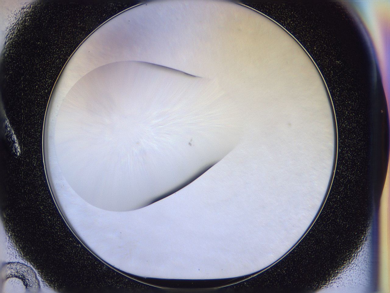 056n_A10_ImagerDefaults_0.jpg