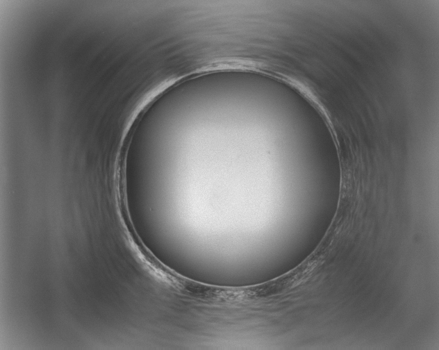 X0000055061003200508161641.png