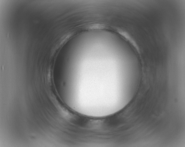 X0000054330057200508111930.png