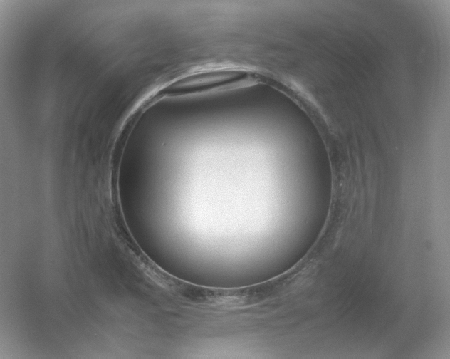 X0000054331173200508111911.png