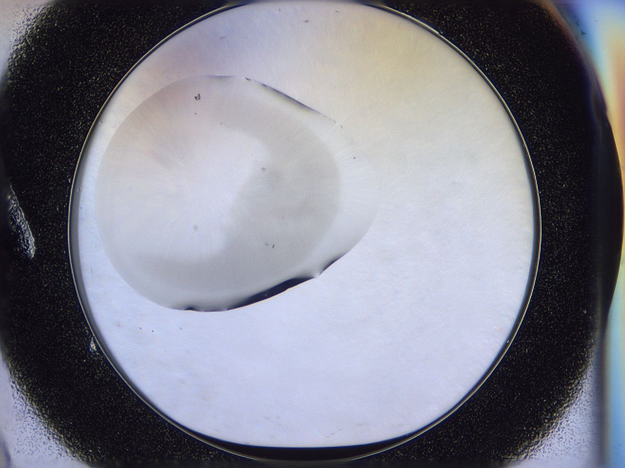 056n_A9_ImagerDefaults_2.jpg