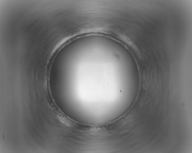 X0000054331316200508111908.png