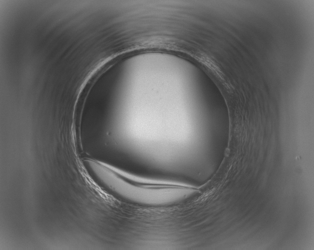 X0000055210888200508301319.png