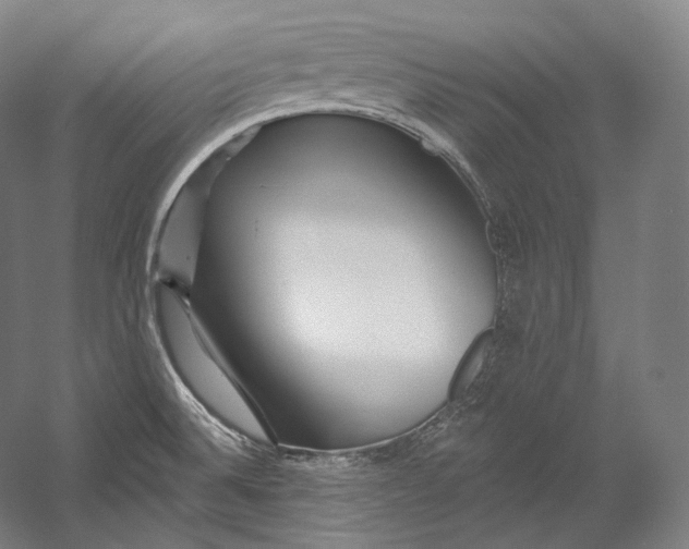 X0000055211524200508301308.png