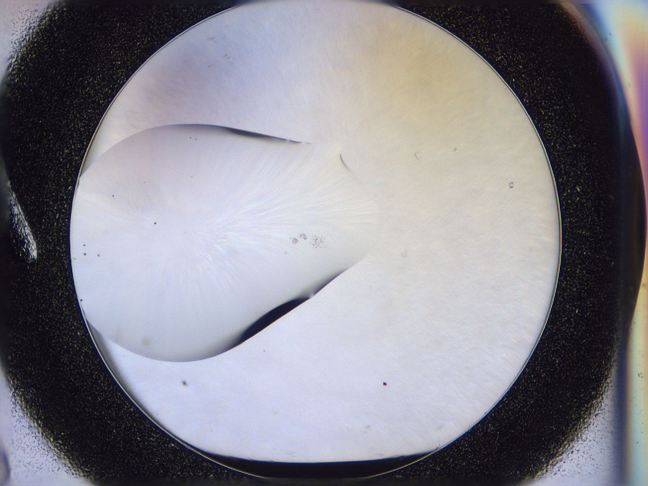 056n_A8_ImagerDefaults_0.jpg