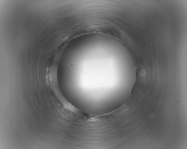 X0000054330868200508111916.png