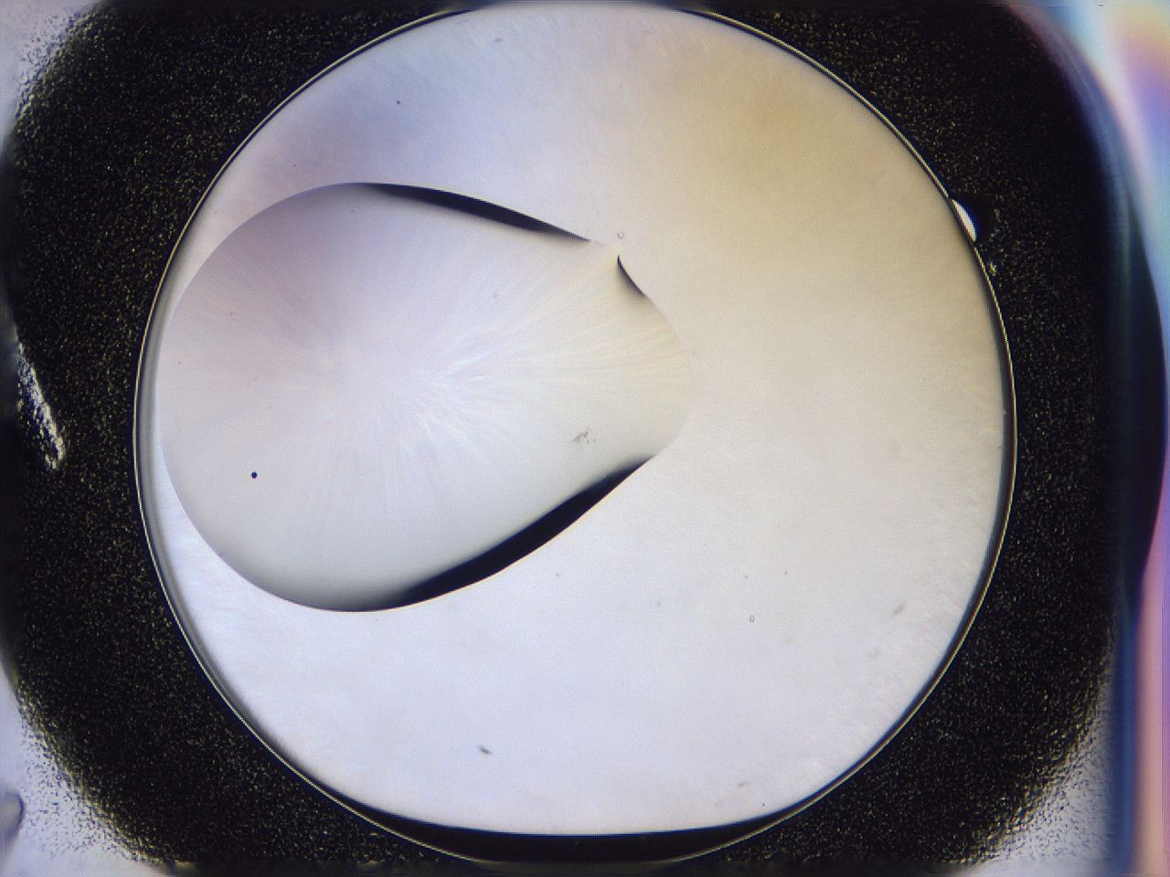 056n_A7_ImagerDefaults_0.jpg