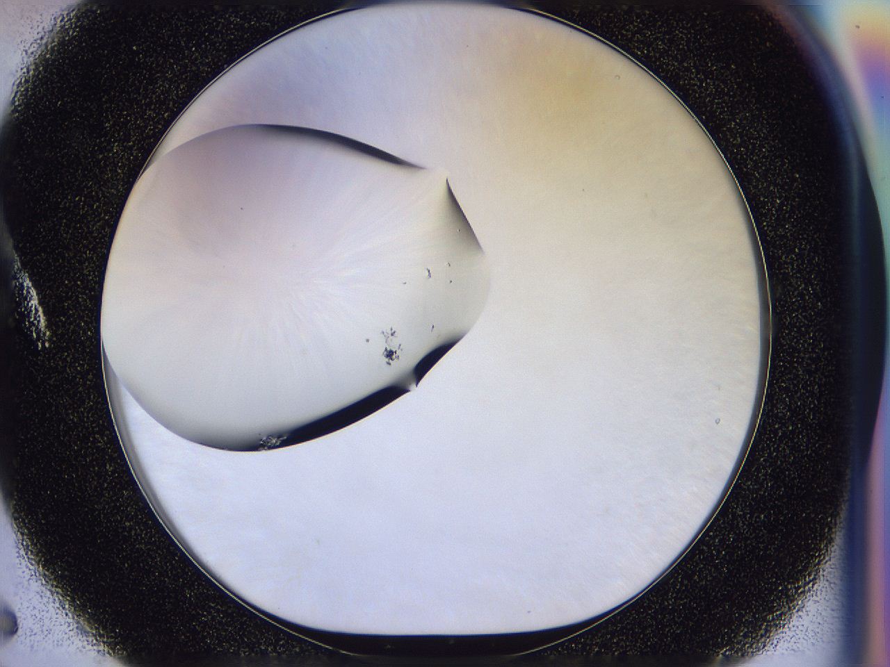 056n_A5_ImagerDefaults_1.jpg