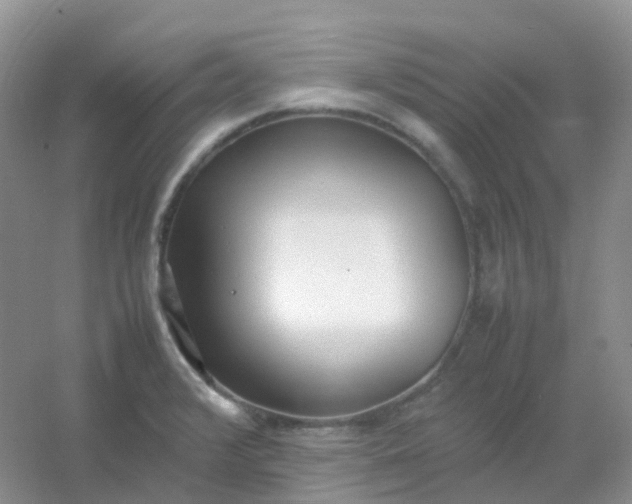 X0000054331376200508111908.png