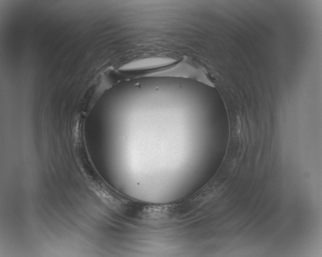 X0000055210084200508301333.png