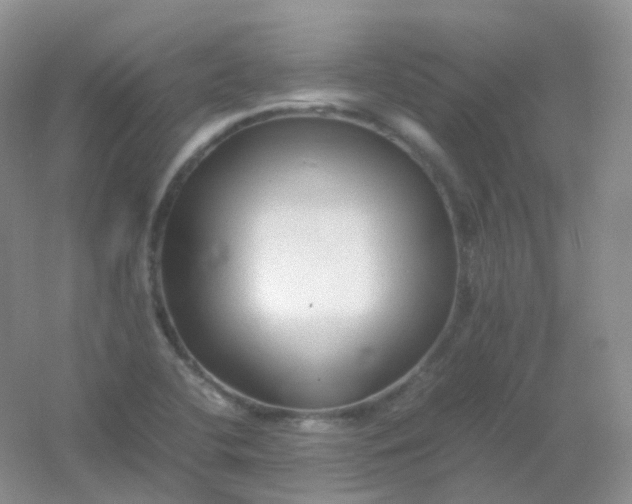 X0000054331412200508111907.png