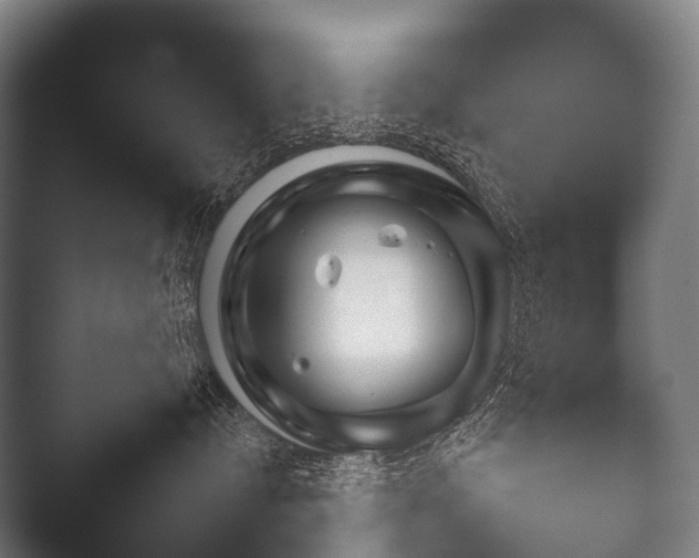X0000052020384200507181633.png