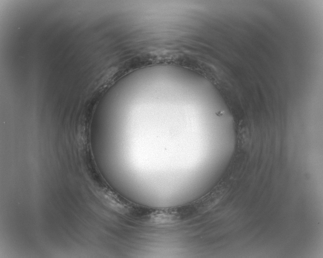 X0000054330756200508111919.png