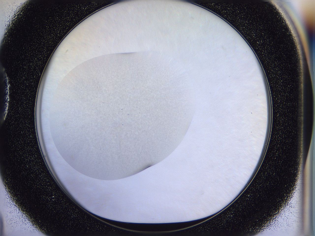 056n_D4_ImagerDefaults_2.jpg