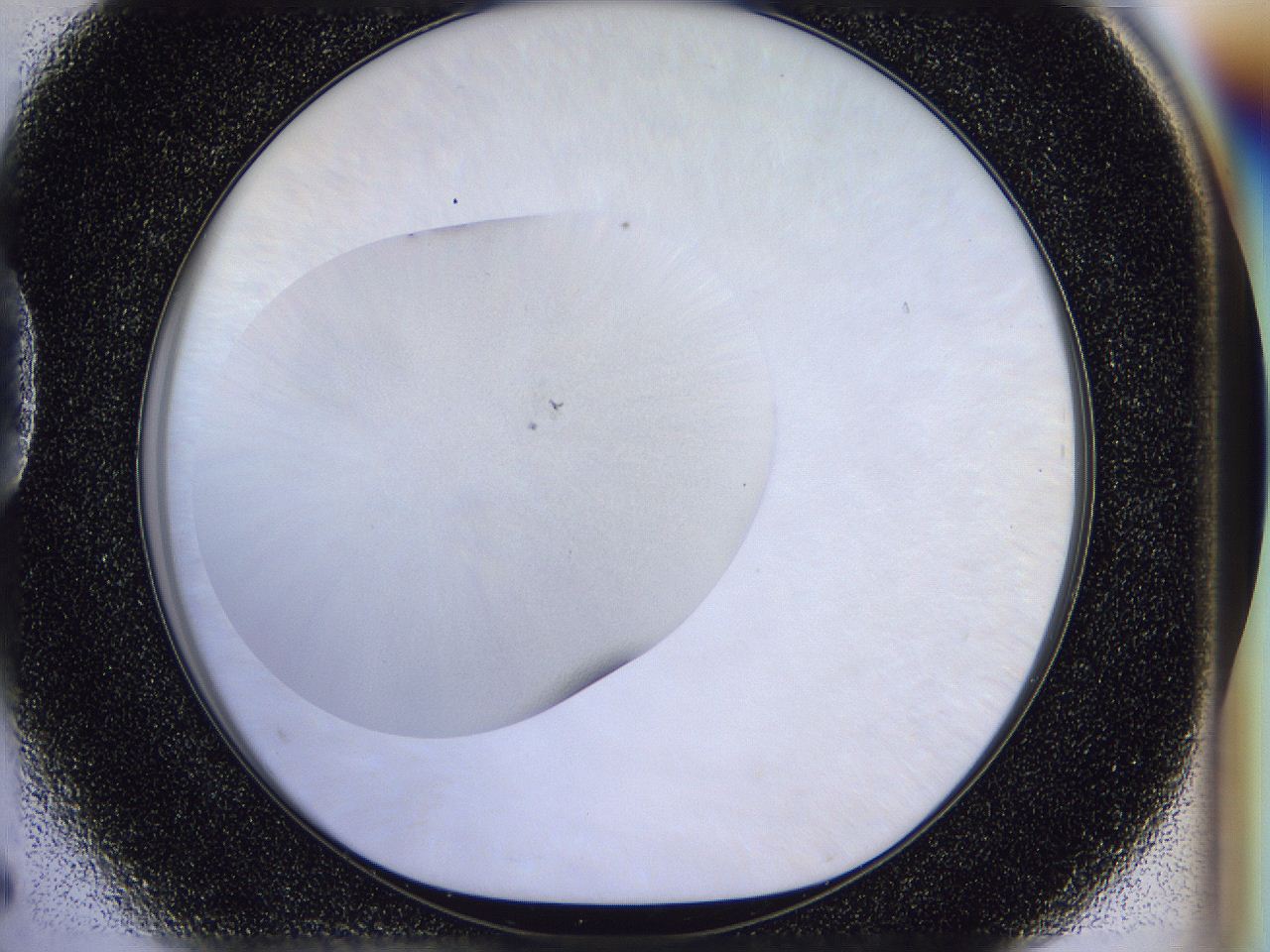 056n_D5_ImagerDefaults_0.jpg
