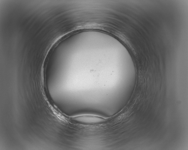 X0000055210988200508301317.png