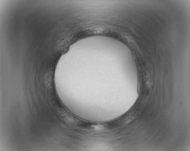 X0000054350509200508190132.png