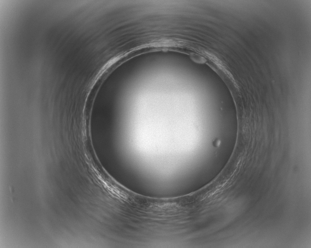 X0000055060837200508161643.png