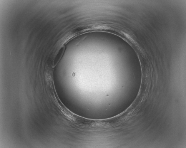 X0000055061281200508161636.png