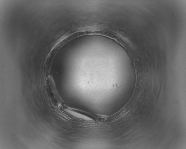 X0000055211160200508301314.png