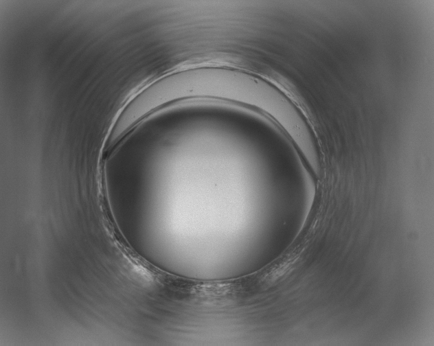 X0000055210858200508301320.png